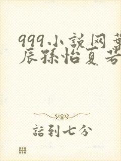 999小说网叶辰孙怡夏若雪