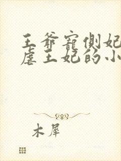 王爷宠侧妃王妃虐王妃的小说封面
