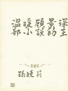 温暖顾景琛是哪部小说的主人公