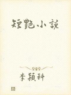 短艳小说封面