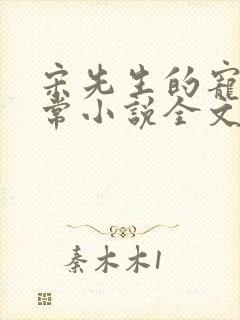 宋先生的宠妻日常小说全文免费阅读