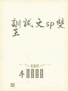 训诫文sp双男主