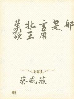 叶北玄是哪本小说主角