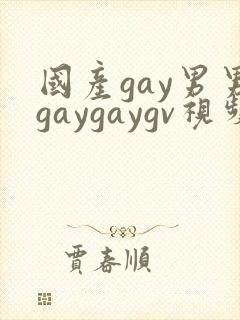 国产gay男男gaygaygv视频