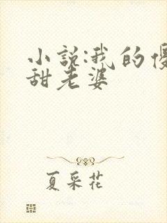 小说:我的傻白甜老婆封面