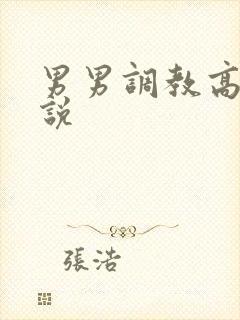男男调教高h小说封面