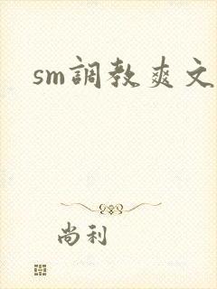 sm调教爽文