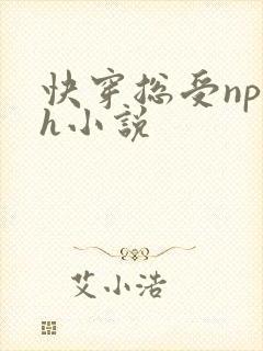 快穿总受np高h小说封面