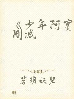《少年阿宾》无删减