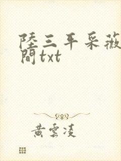 陆三平采薇在人间txt封面