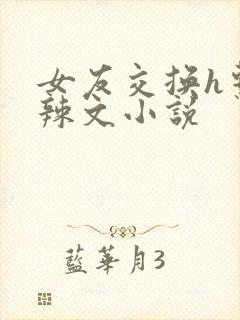 女友交换h系列辣文小说