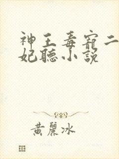 神王毒宠二嫁王妃听小说