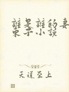 谁是谁的妻白沽东子小说