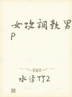 女攻调教男奴np封面