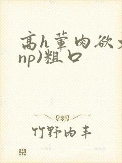 高h荤肉欲文(np)粗口封面