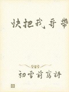 快把我哥带走1封面