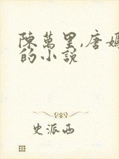 陈万里,唐嫣然的小说
