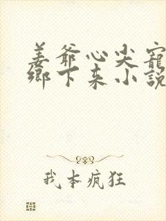 姜爷心尖宠她从乡下来小说免费阅读