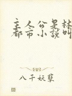 主人公是林峰的都市小说叫什么