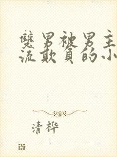 双男被男主们轮流欺负的小说