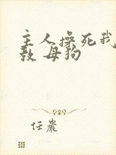 主人操死我 调教 母狗