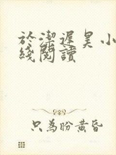 于洁迟昊小说在线阅读封面