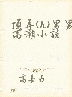 顶弄(h)男男高潮小说