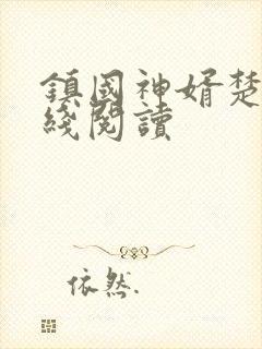 镇国神婿楚尘在线阅读