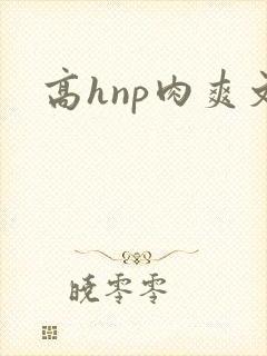 高hnp肉爽文封面