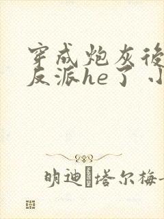 穿成炮灰后我和反派he了 小说