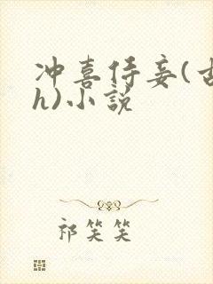 冲喜侍妾(古言h)小说封面