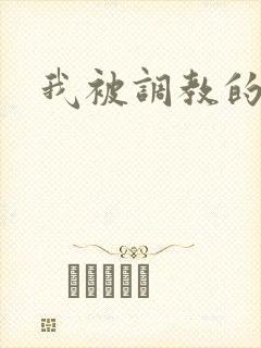 我被调教的经历封面