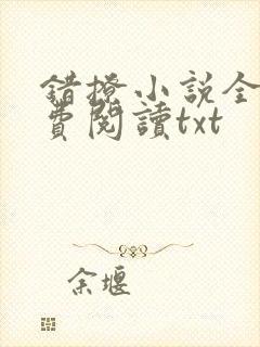 错撩小说全文免费阅读txt封面