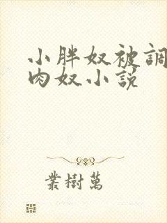 小胖奴被调教成肉奴小说