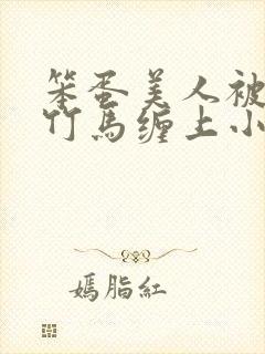 笨蛋美人被两个竹马缠上小说免费阅