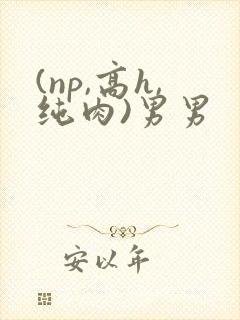 (np,高h,纯肉)男男