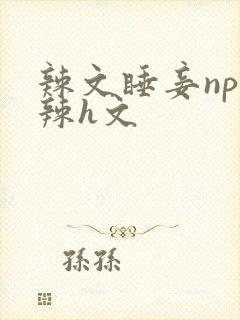 辣文睡妾np高辣h文