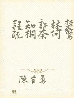 段知许林楚楚江疏桐奈何惊鸿入我心