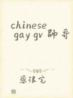 chinese gay gv 帅哥封面