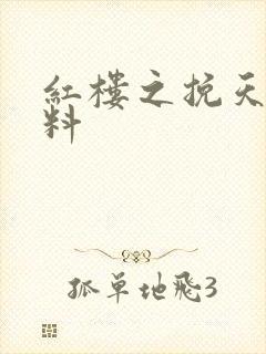 红楼之挽天倾加料