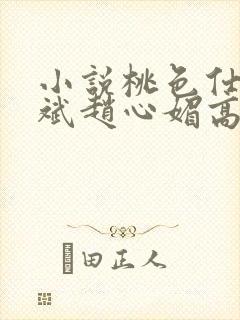 小说桃色仕途陈斌赵心媚高婉君