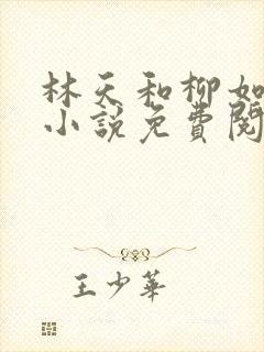 林天和柳如烟的小说免费阅读
