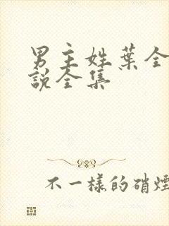 男主姓叶全部小说全集封面