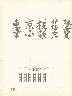 东京校花坠落日常小说免费阅读封面