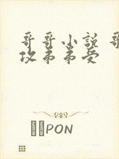 哥哥小说 哥哥攻弟弟受