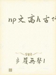np文高h古代