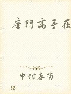 唐门高手在异世