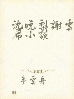 沈晚梨谢云迟叶希小说
