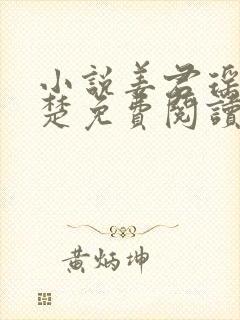 小说姜君瑶与小楚免费阅读