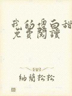 我的傻白甜老婆免费阅读封面